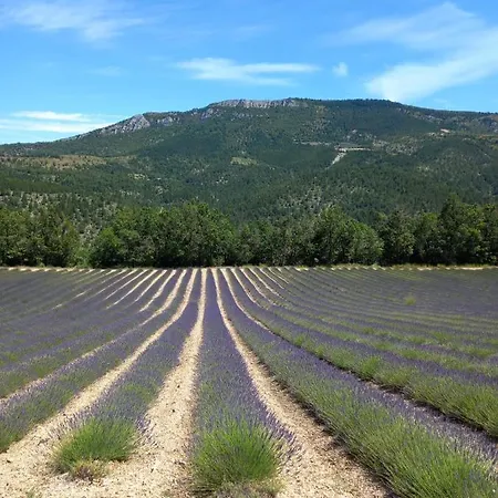 La Plume Du Ventoux 305 Holiday home *